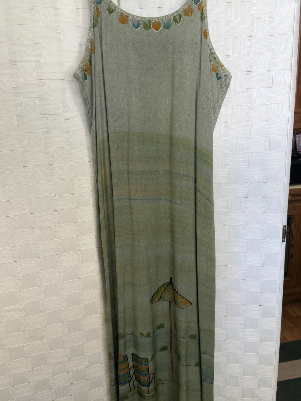 raya sun Light Green Maxi Dress with Yellow & Blue Accents